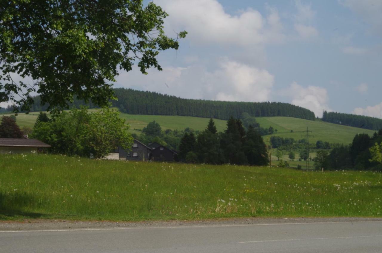 Das Gelbe Haus 3 Apartment Winterberg Exterior foto